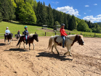 /album/fotogaleria/kone-25-jpg/